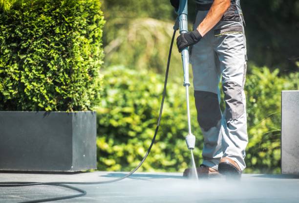 Best Fence Cleaning  in Homestead, FL