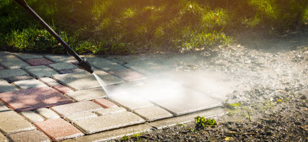 Best Gutter Cleaning  in Homestead, FL
